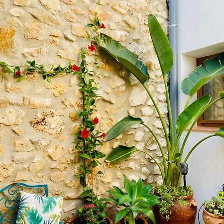 בית נופש Casa Luna